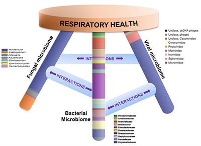 Heterogeneity of Microbiota Dysbiosis in Chronic Rhinosinusitis: Potential Clinical Implications and Microbial Community Mechanisms Contributing to Sinonasal Inflammation